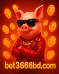 আমাদের অনলাইন প্ল্যাটফর্ম