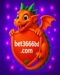 উচ্চস্তরের ভিআইপি সেবা